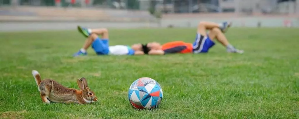 Unlocking Potential: The Essential Role of Sleep for Young Athletes